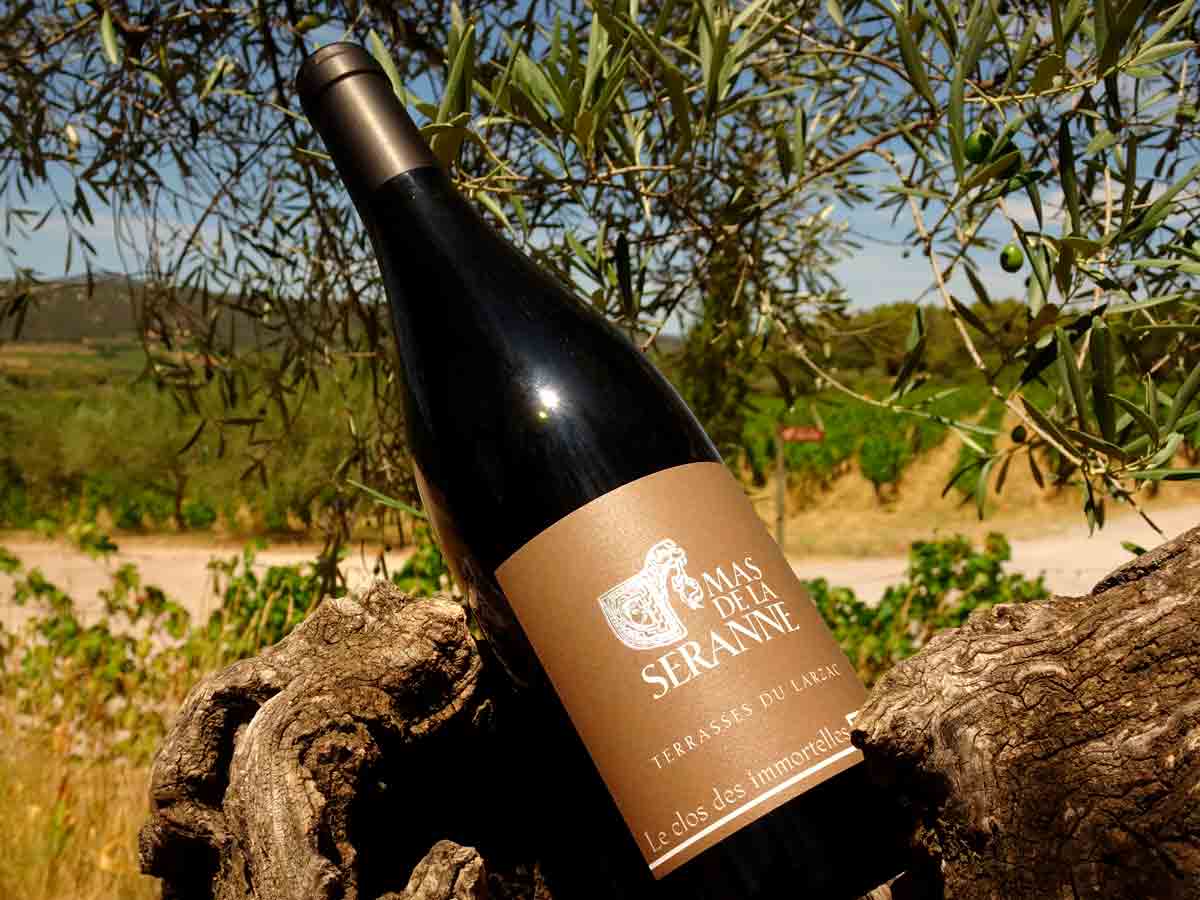 mas-seranne-vin-vente-domaine-degustation-caves-bio-languedoc-terrasse-du-larzac-clos-des-immortels mas-seranne-vin-vente-domaine-degustation-caves-bio-languedoc-terrasse-du-larzac-clos-des-immortels