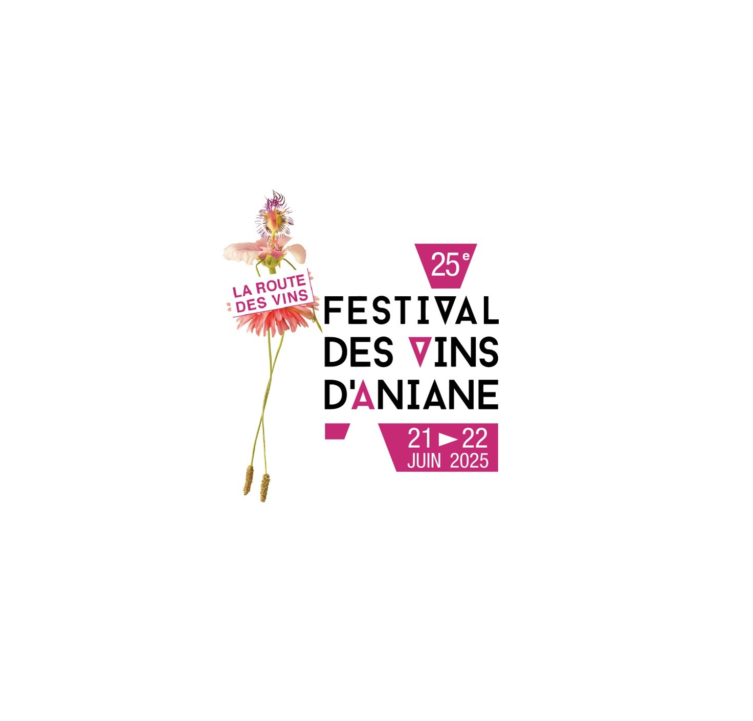 Route des Vins du Festival des Vins d’Aniane les 21 et 22 Juin 2025