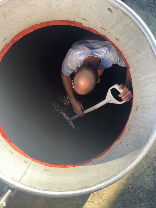 Vinification