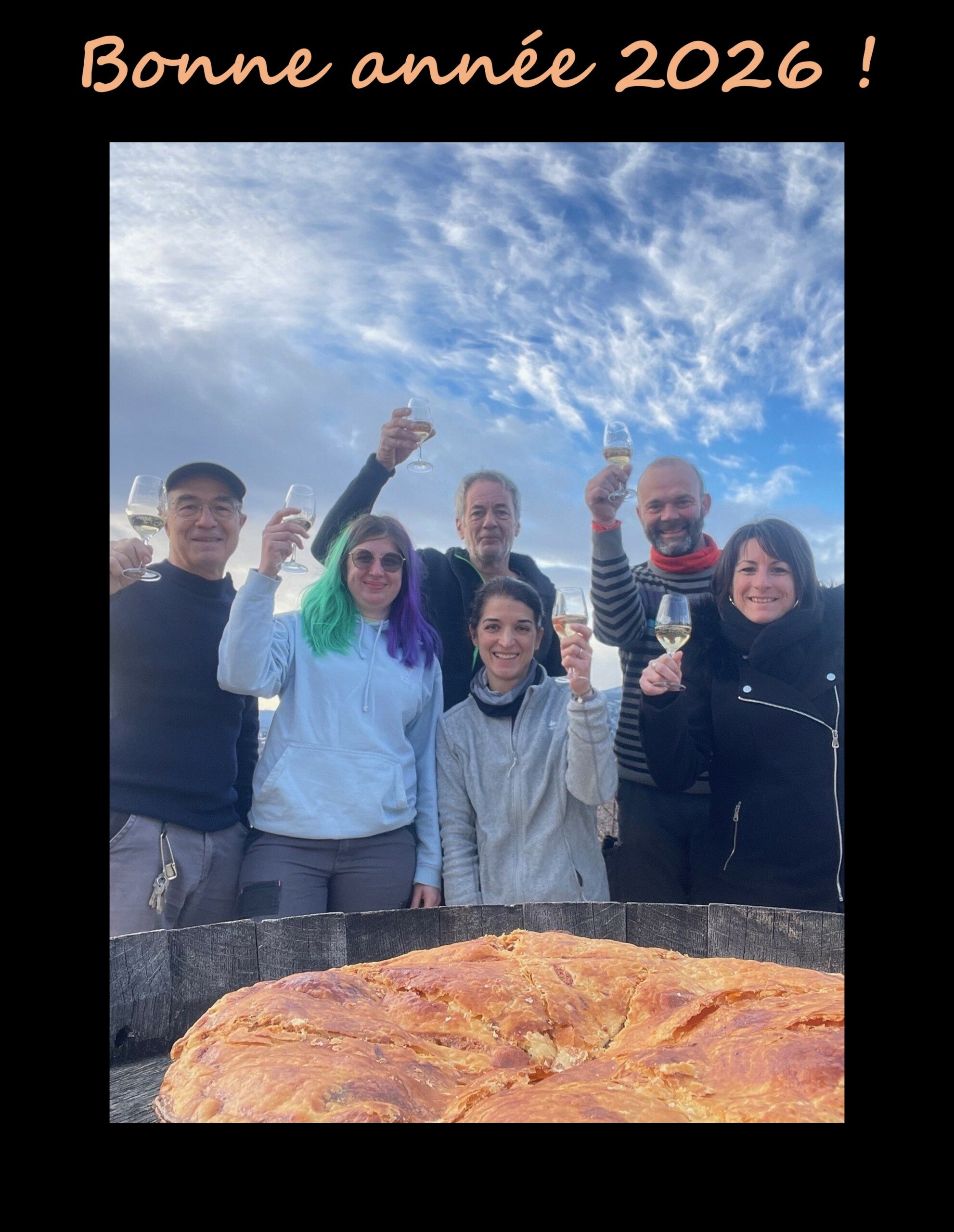 Meilleurs vœux 2026