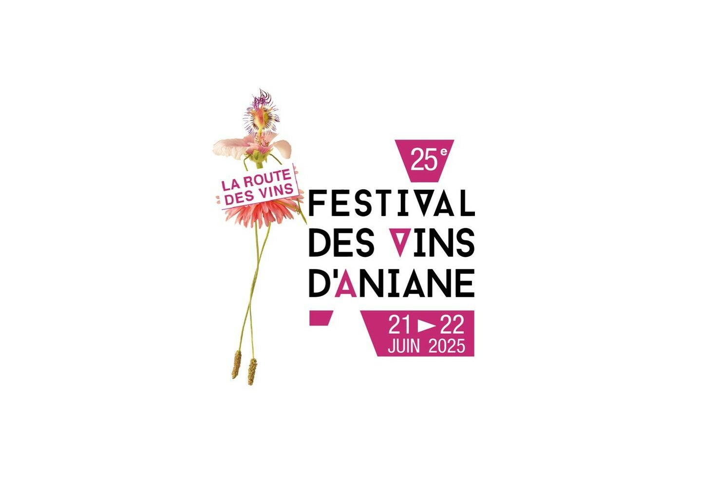 Route des vins25-2